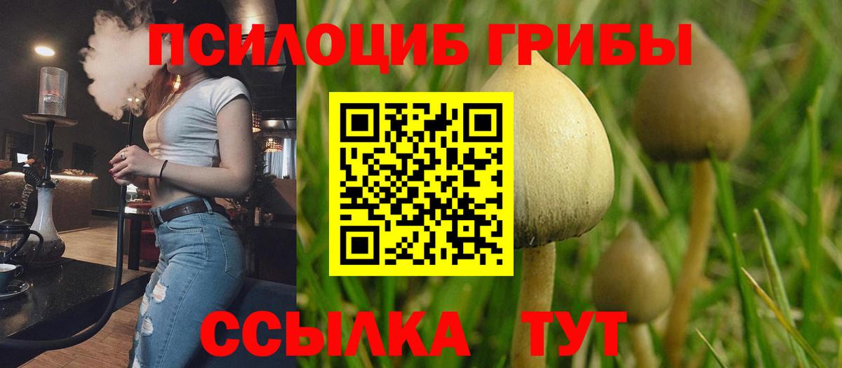 Псилоцибиновые грибы мицелий Нефтекумск